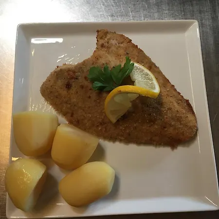 Отель Taars Tars